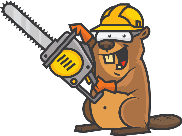 Tree Trimming | Stump Grinding